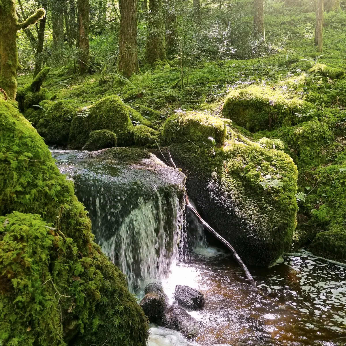 20250514_121239©OT Tulle en Corrèze-2