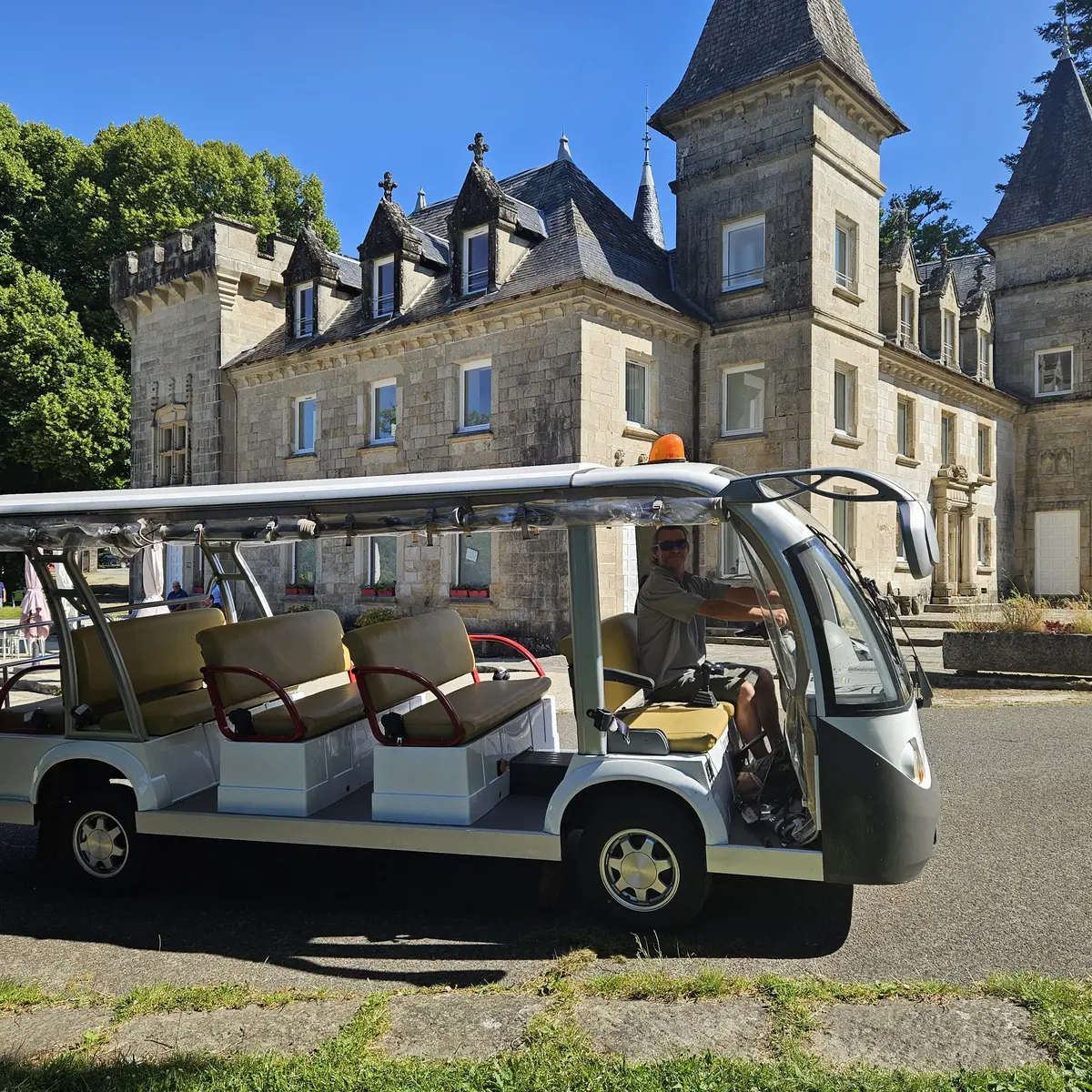 Adi Mille Tour Golfette electrique