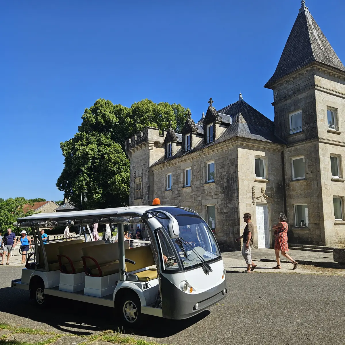 Adi Mille Tour Golfette electrique