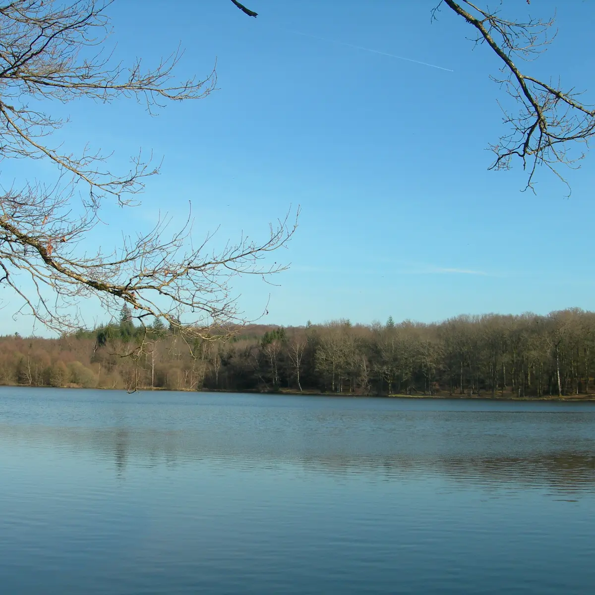 Etang de pêche 'Piquette' La Porcherie_1