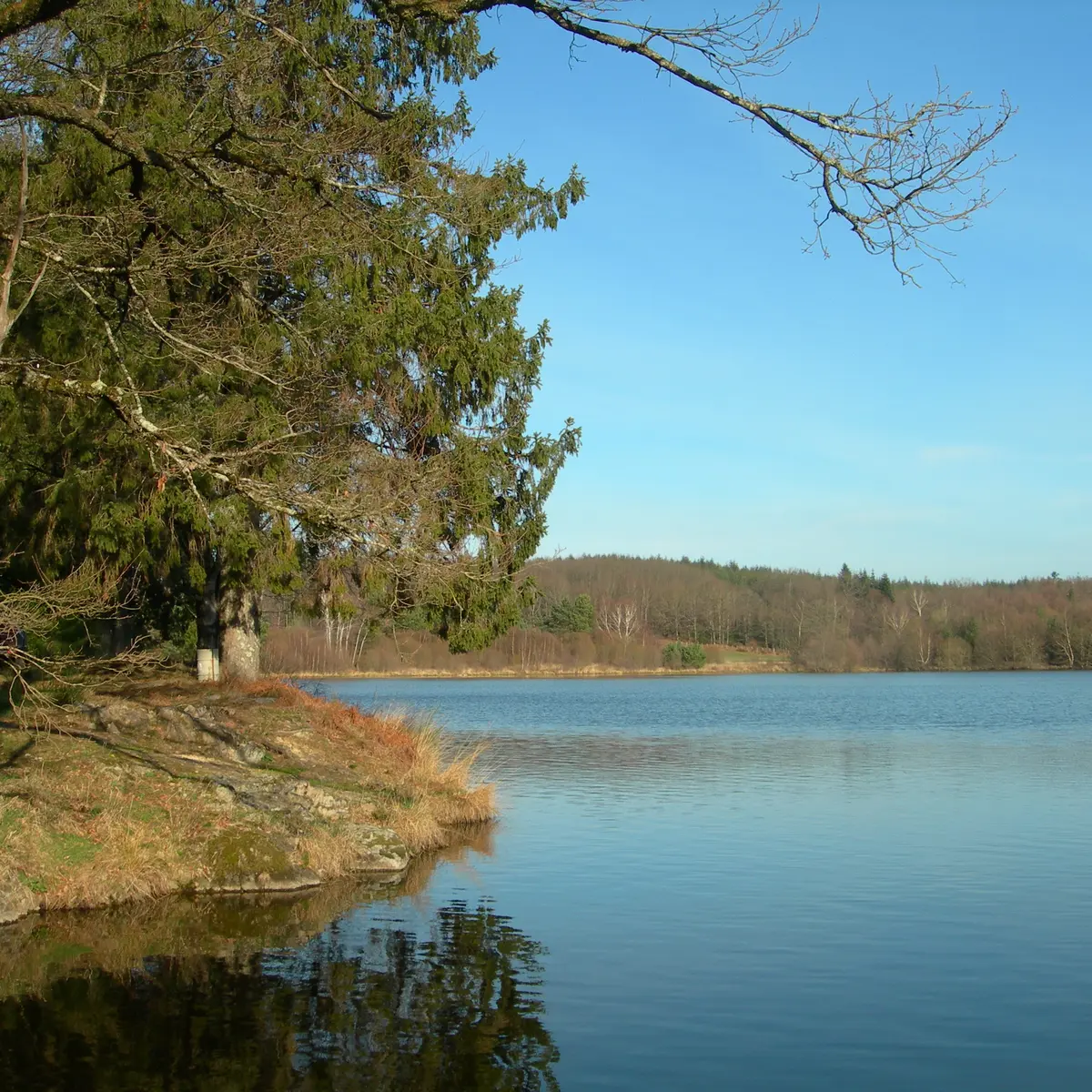Etang de pêche 'Piquette' La Porcherie_2