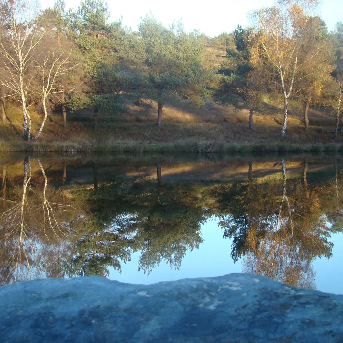 Etang de pêche 'Les Pierres du Mas' La Porcherie_1