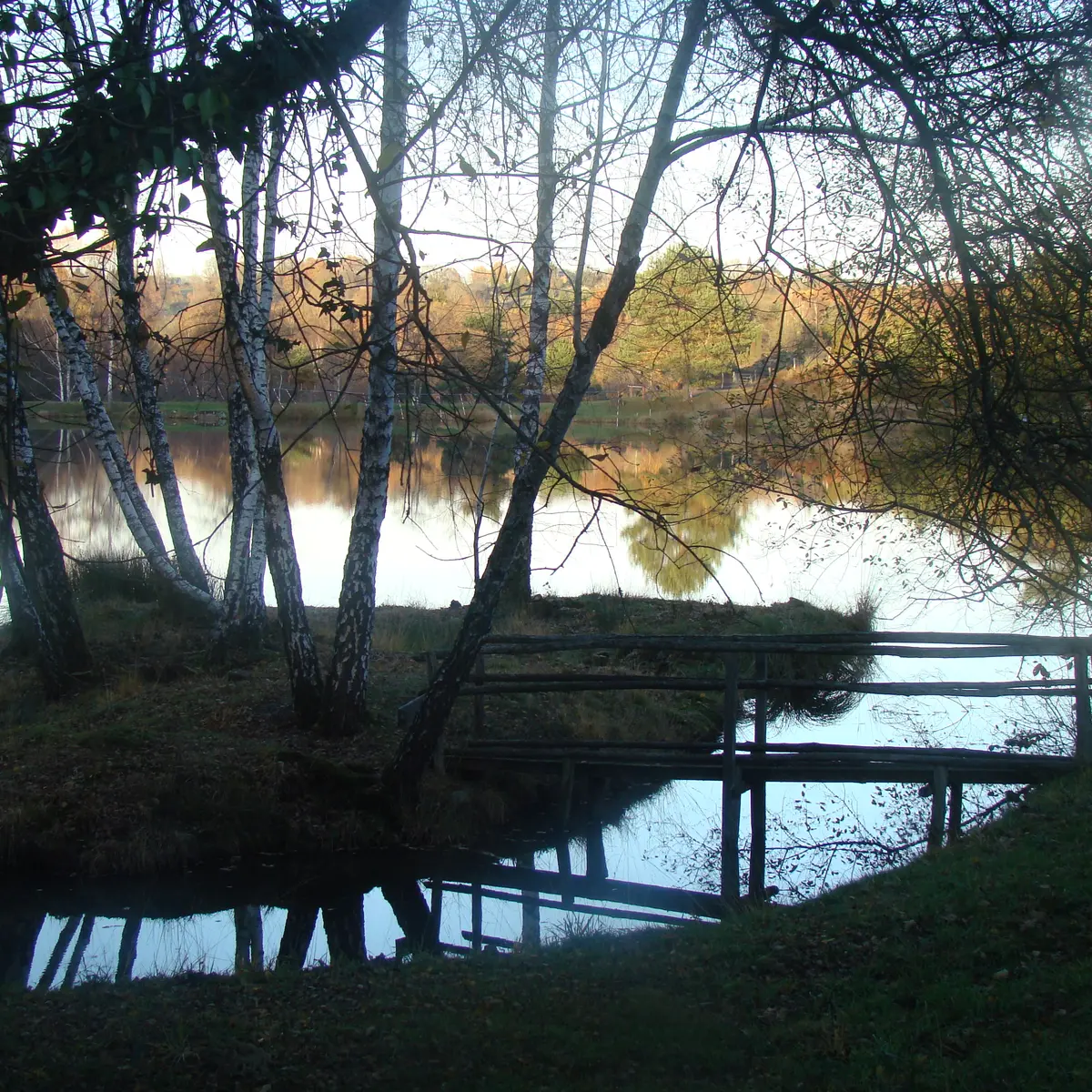 Etang de pêche 'Les Pierres du Mas' La Porcherie_3