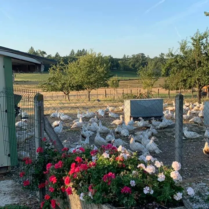 Volailles La Meuzacoise à Meuzac_2