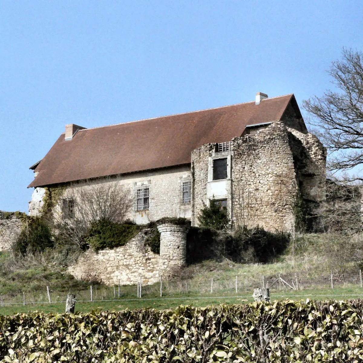 Vieux Château à Vicq sur Breuilh_1