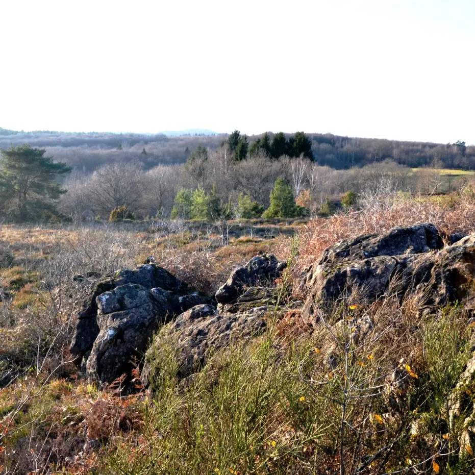 Boucle cyclotouristique Cluzeau-Fayat_2