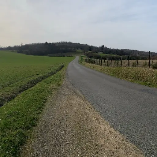 Boucle cyclotouristique La forêt de Meuzac_3