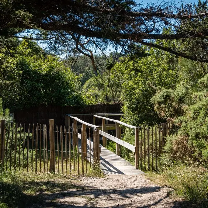 2021_sentier_Mailloueyre (2) (Copier)