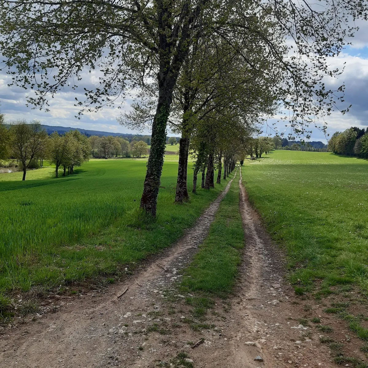 chemin