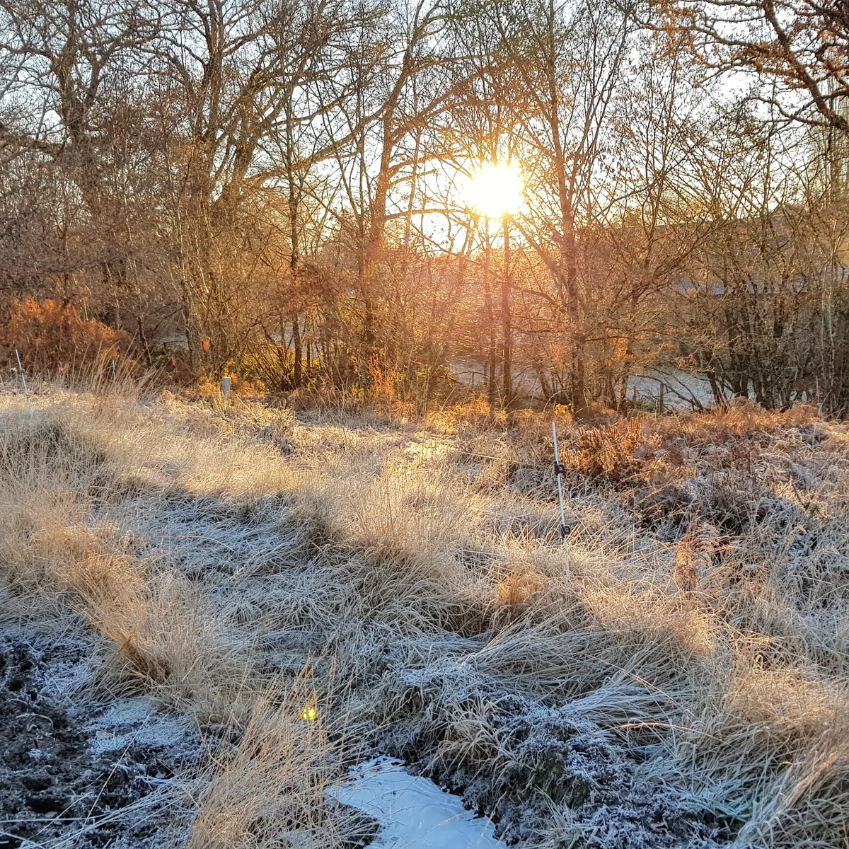 Hiver au Cluzeau