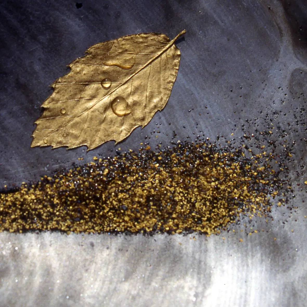 Orpaillage : chercheur d'or_3