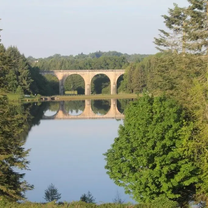 Pêche en 1ère catégorie plan d'eau de Saint-Yrieix_1
