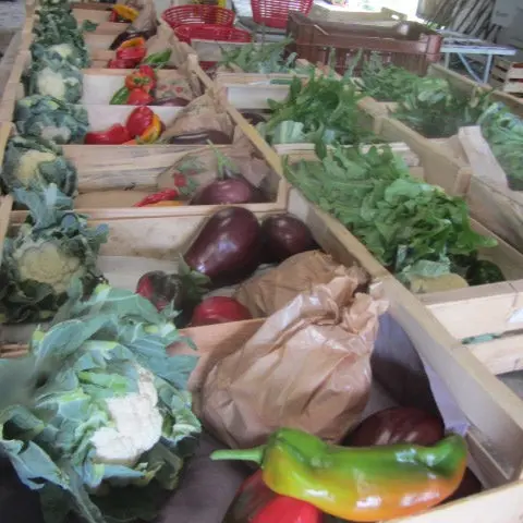 terre ferme coussac bonneval_2
