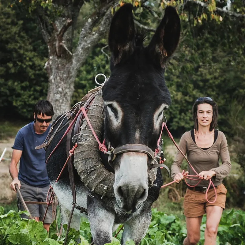 terre ferme coussac bonneval_3