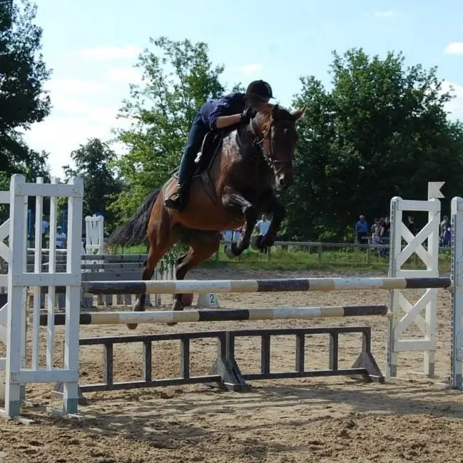 Centre équestre Cheval Pot'Agé