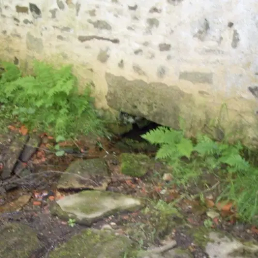 Bonne fontaine Saint Sulpice