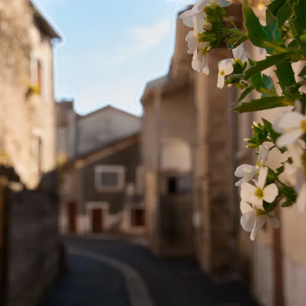 Châteauponsac
©Sabine Massé_2