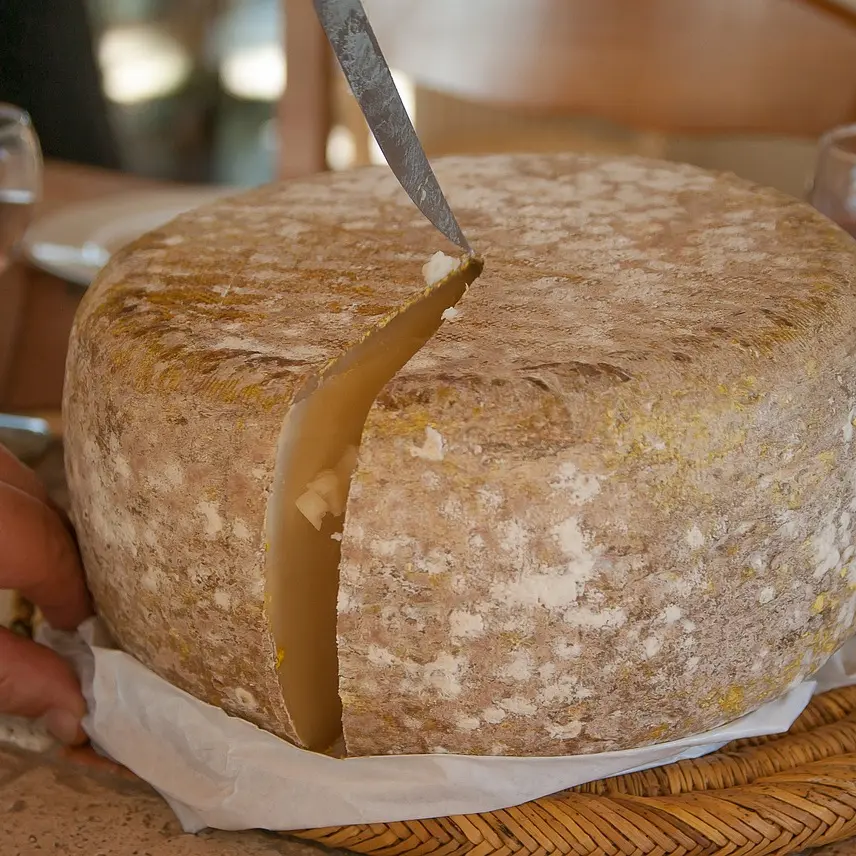 Fromage de brebis_3