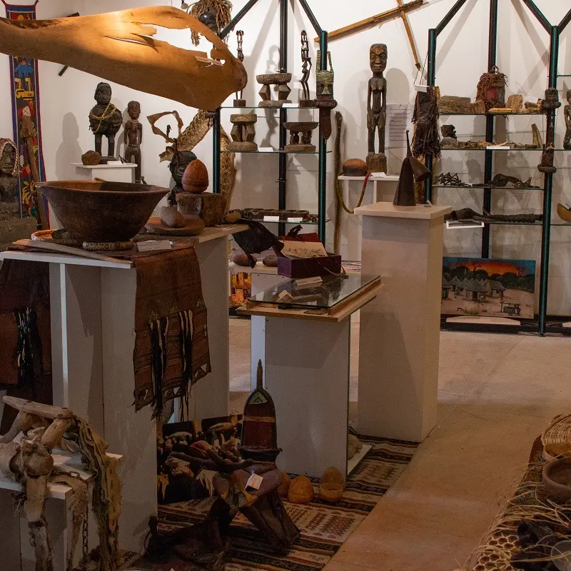 Cabinet de Curiosités Africaines_2