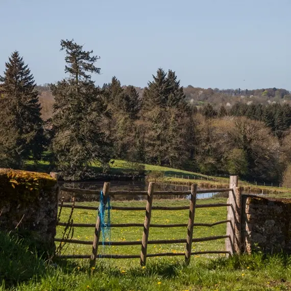 Villefavard_1
