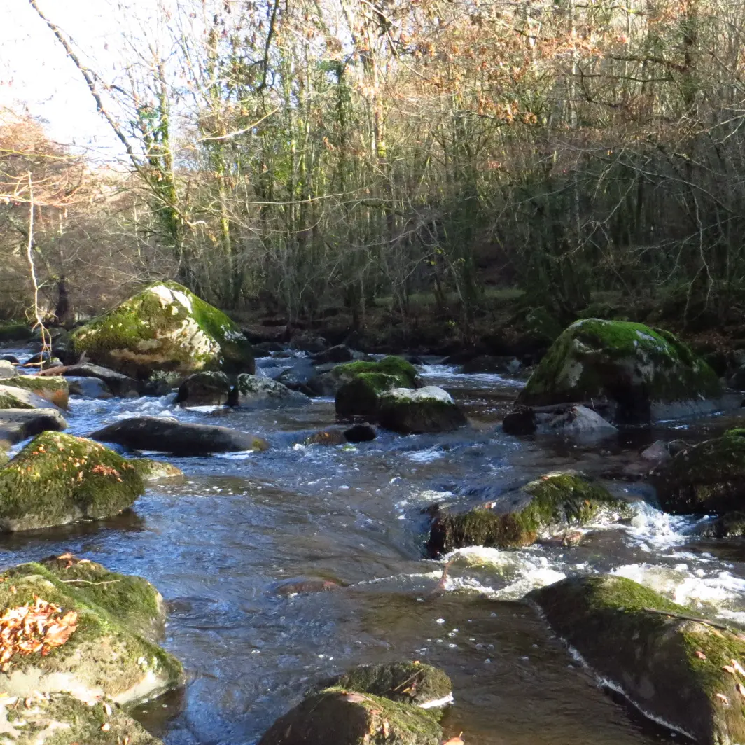 Saut de la Brame_3