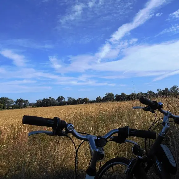 Vélo_3