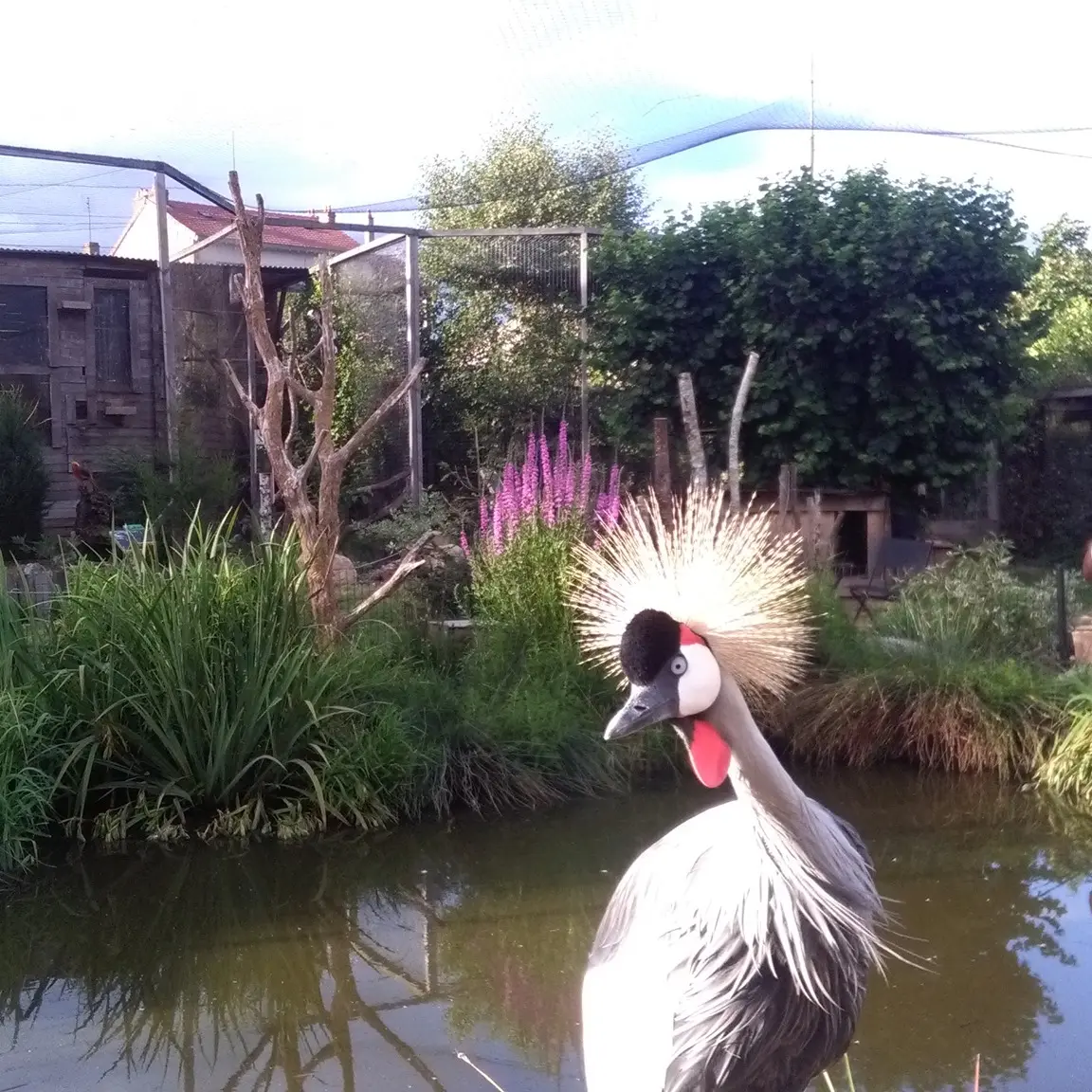 Jardin Zoologique Bellachon_2
