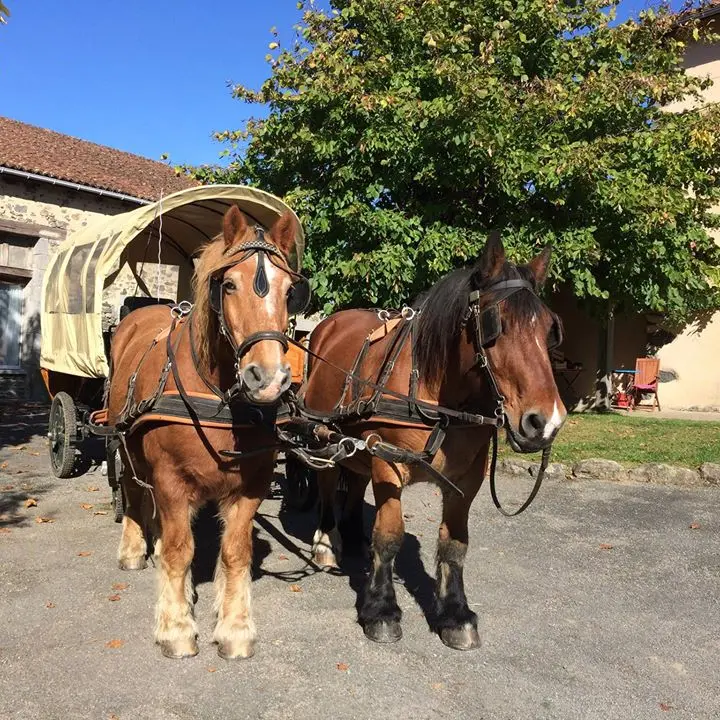 Les tipis de l'Isop_4