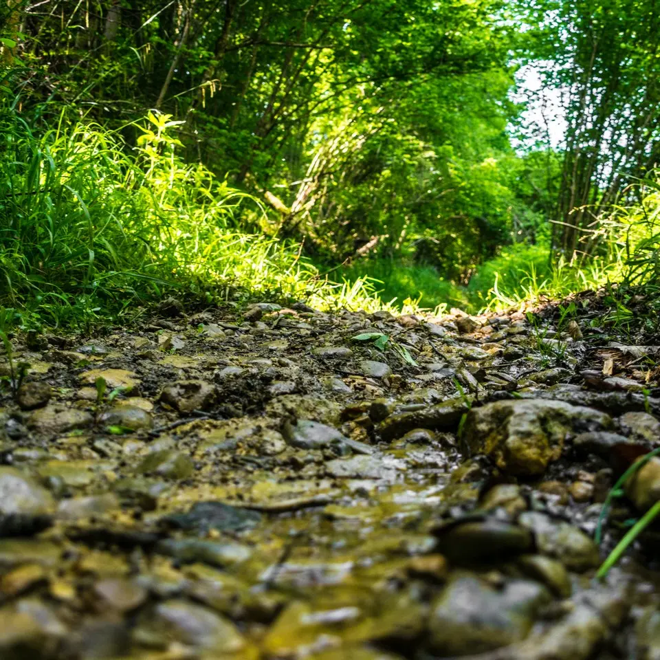 Laroin - Couday - Chemin