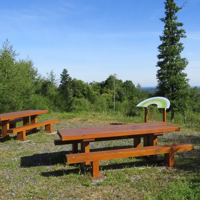 Point de vue aménagé - Forêt de Boubon_4