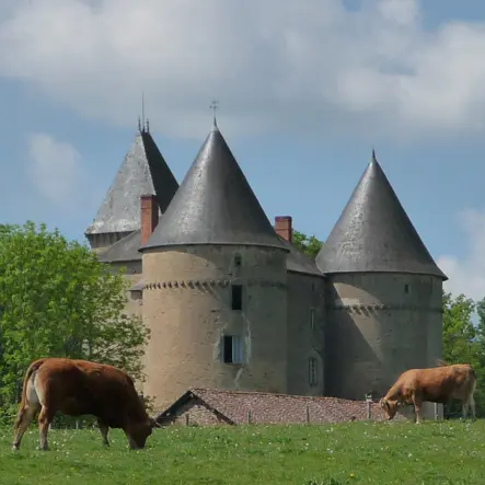 Château de Brie_1