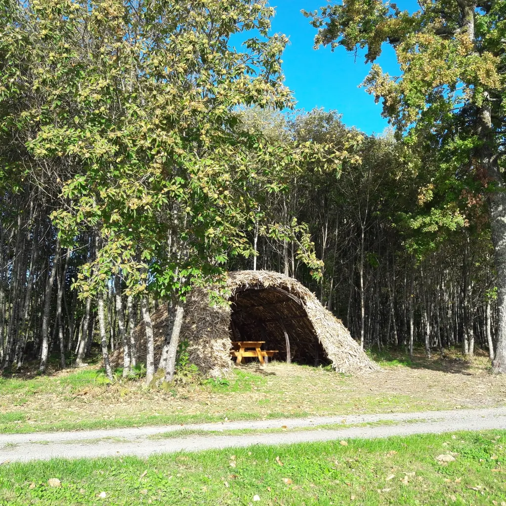 Étang de Masselièvre_2