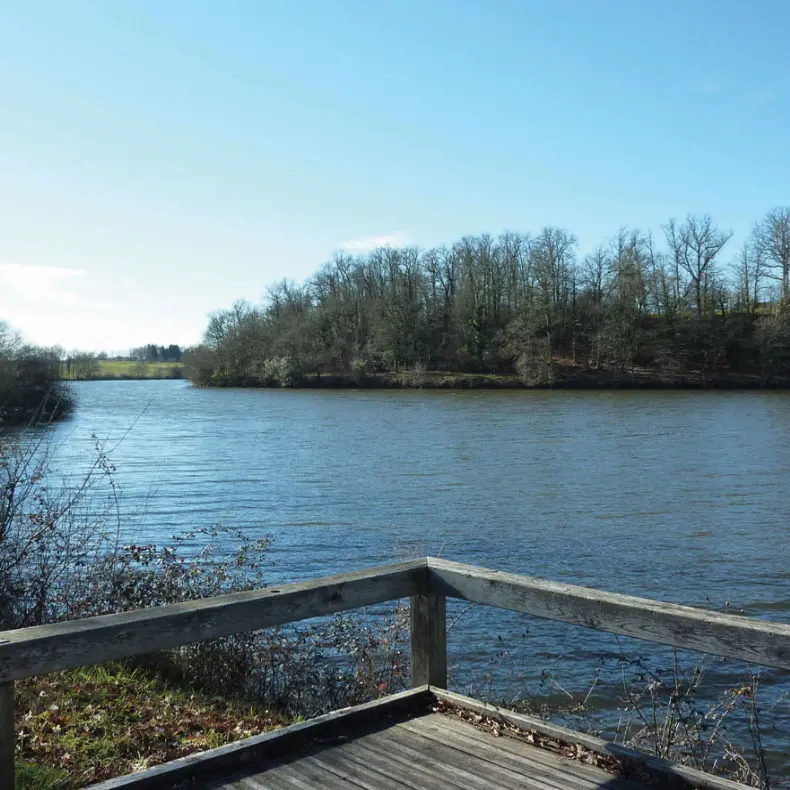 Etang de la Pouge