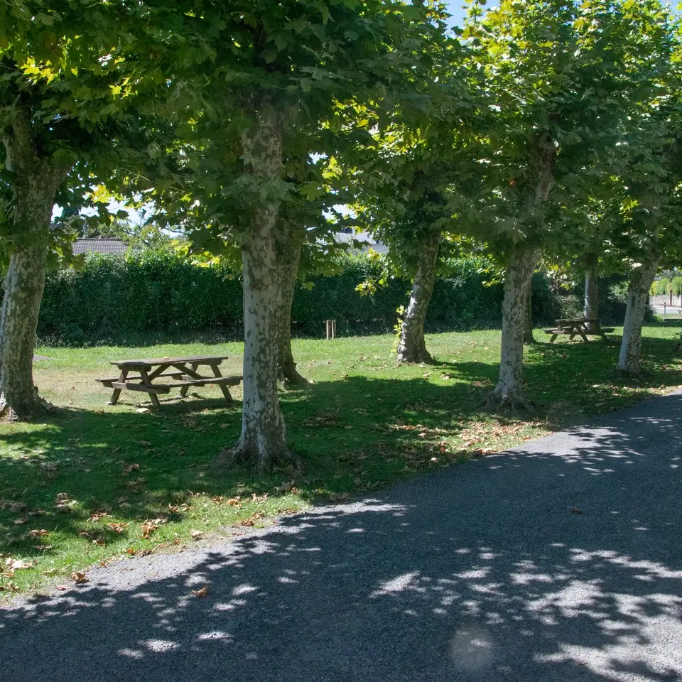 Aire de pique-nique - Lée - tables 1