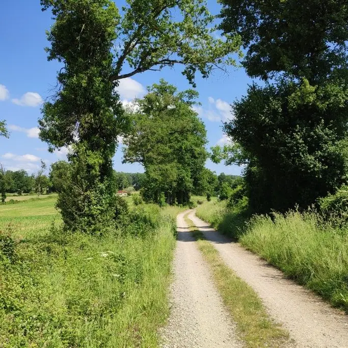 Piste agricole