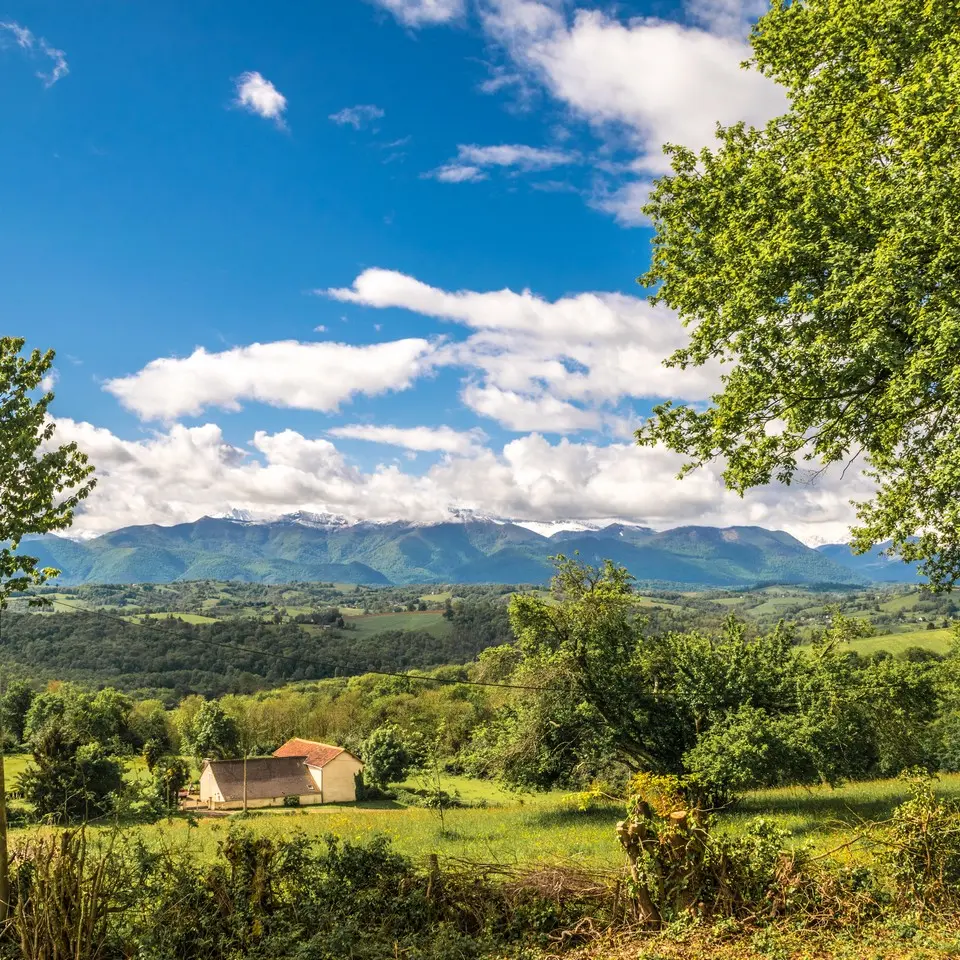 Pyrénées Bosdarros