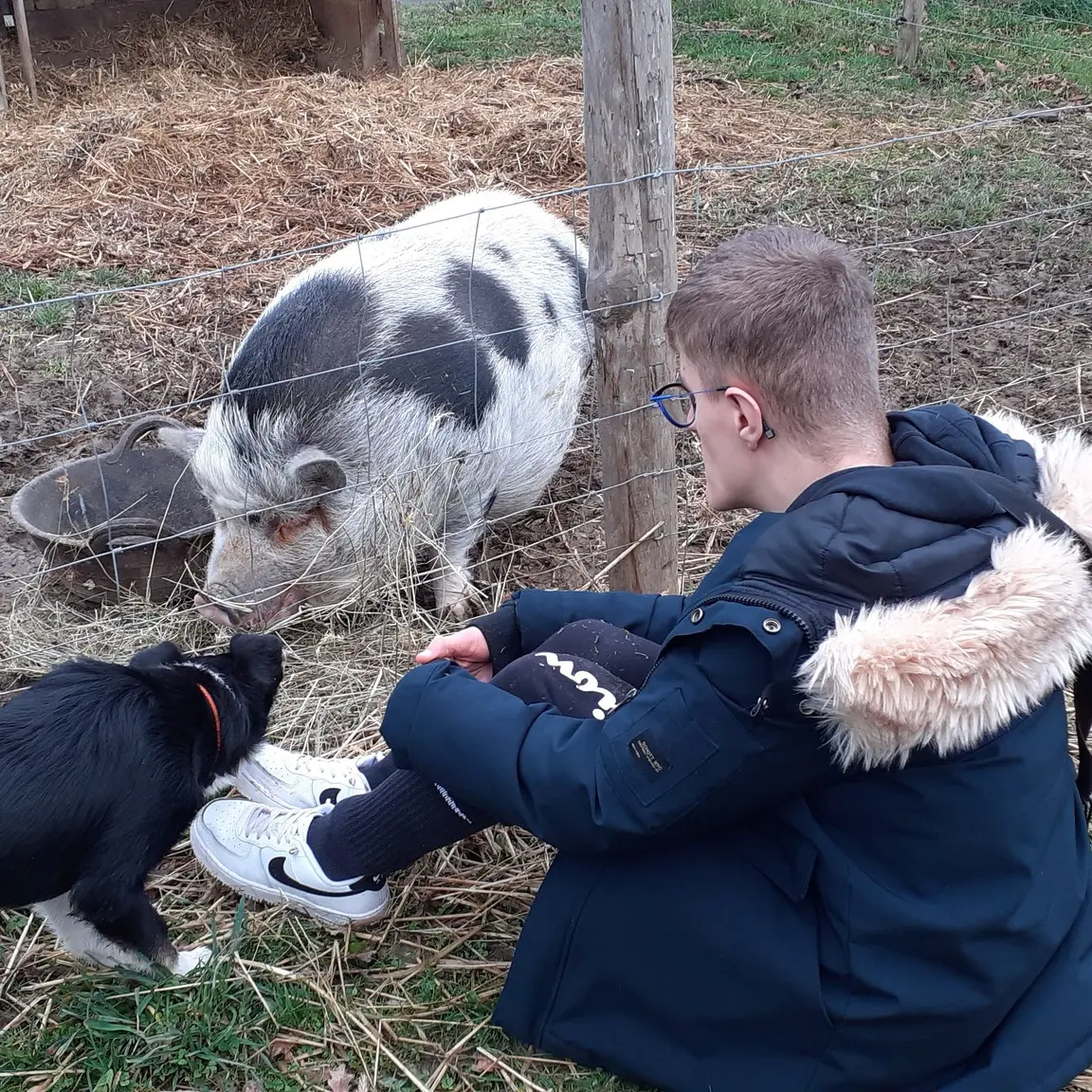 Animaux de la ferme