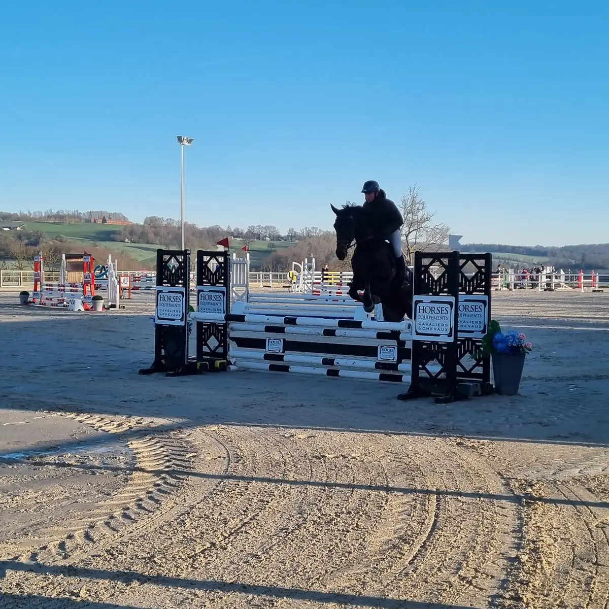 Les Chevaux de Moncontour