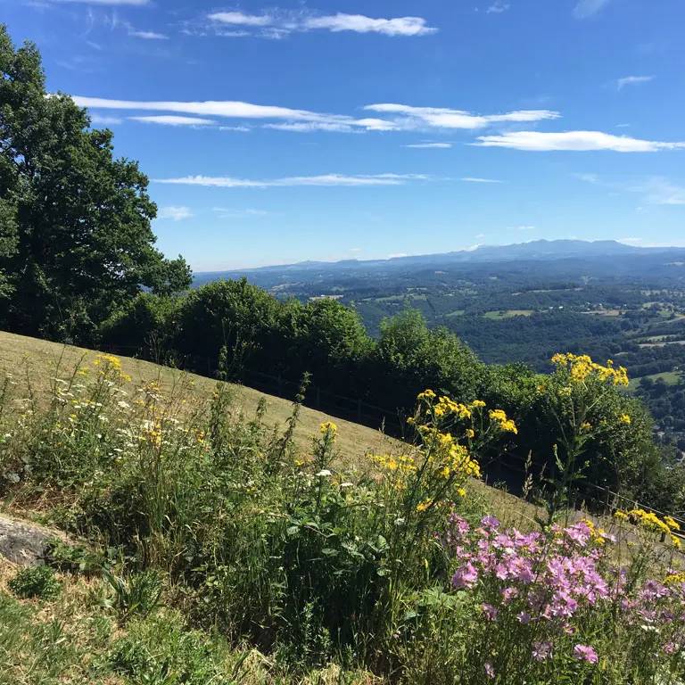 Table d'orientation des Orgues de Bort_4