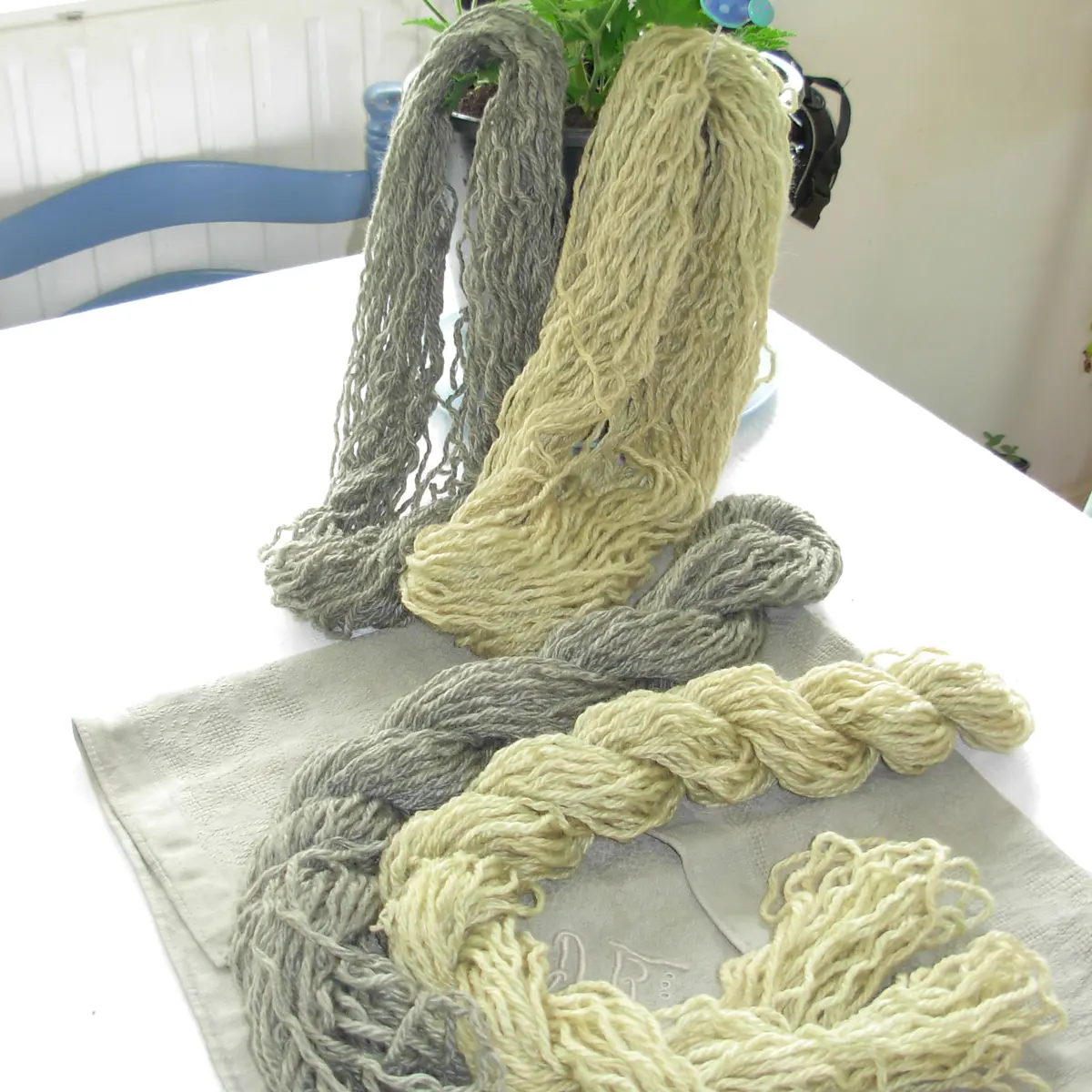 teinture de fougères
