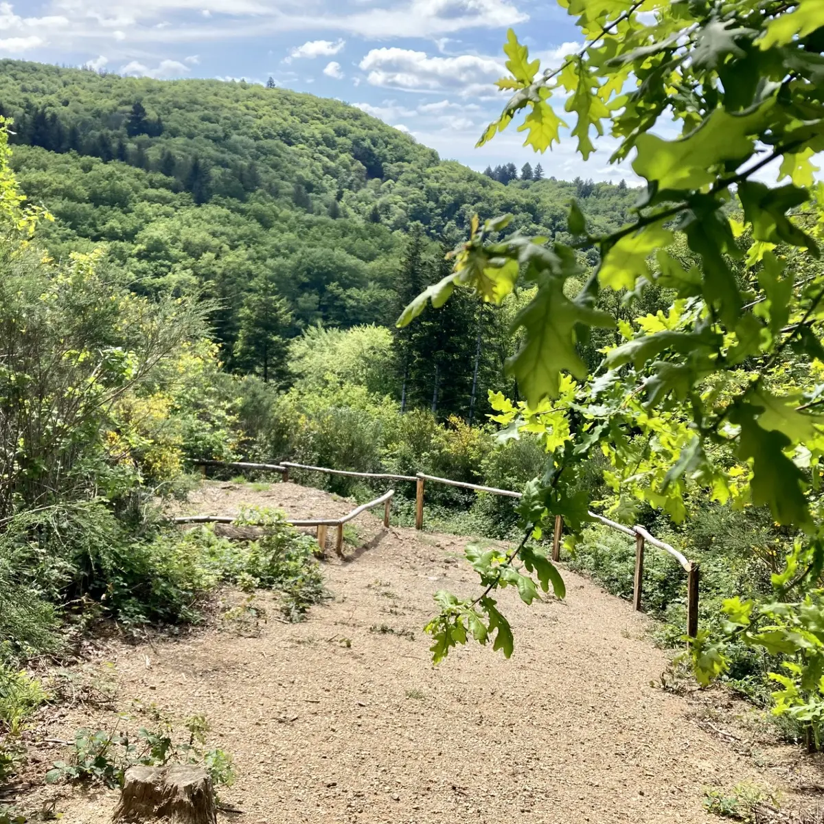 Planque du maquis à St Julien le Petit