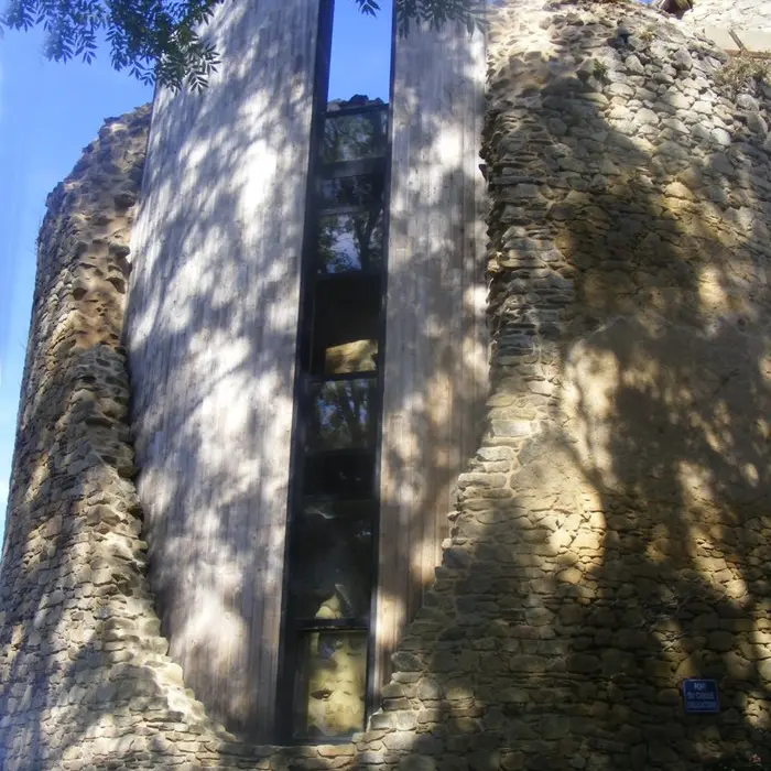 vieux château à Vicq Sur Breuilh