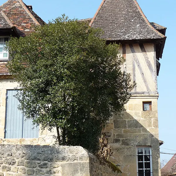 village-prison