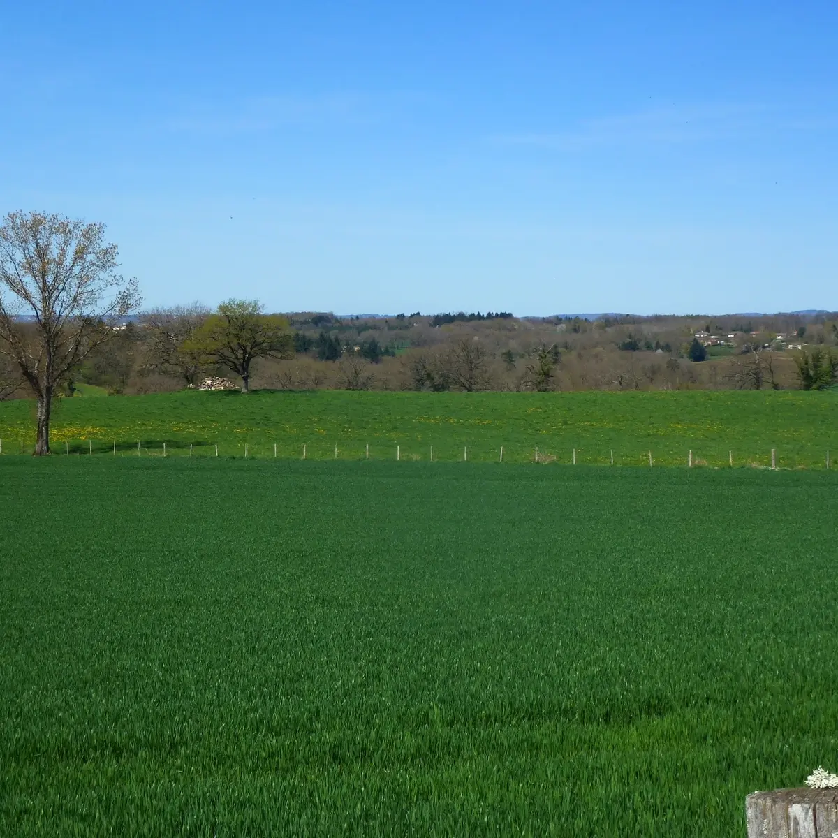 vue campagne Aureil