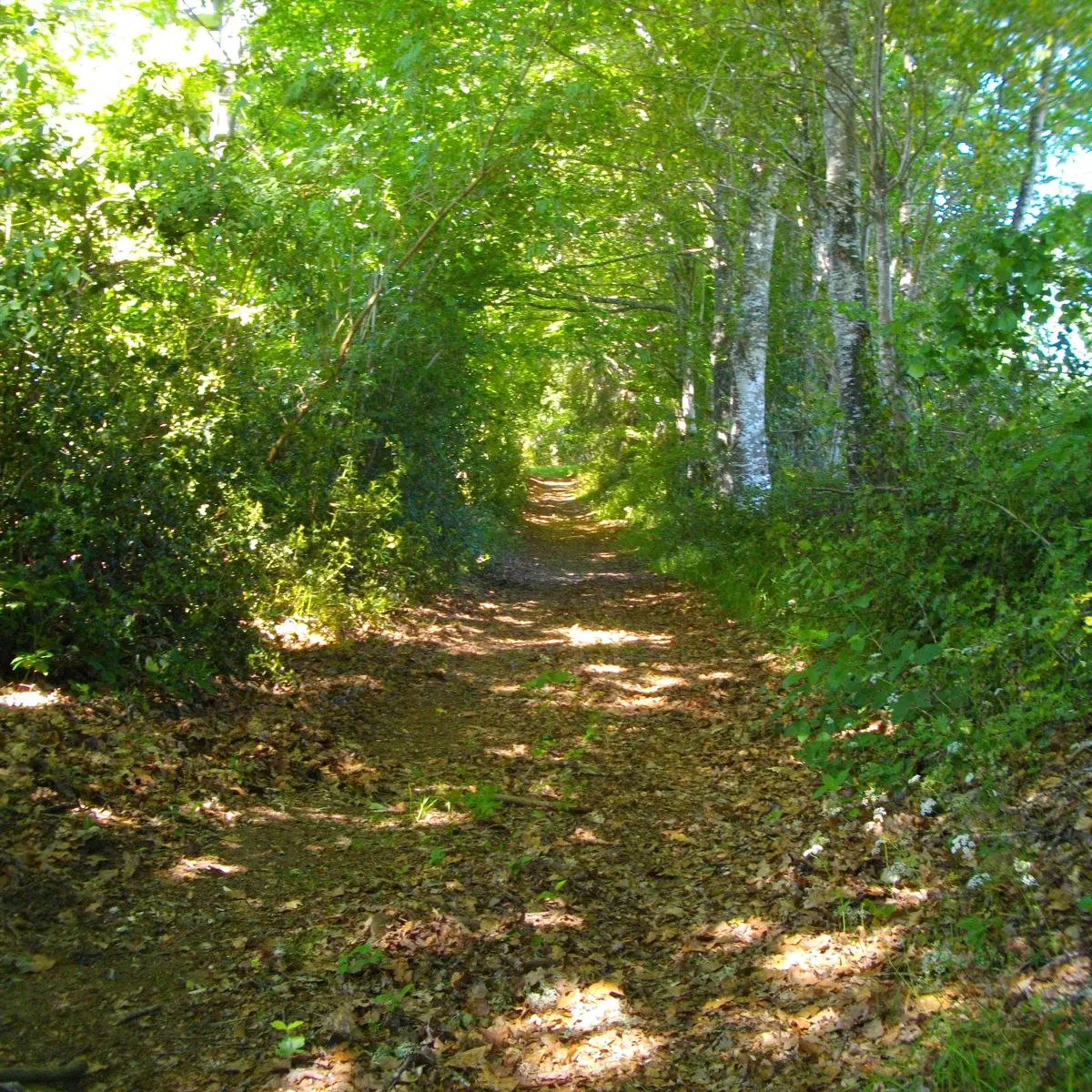 vuegenerale_Sornac_VTT49_HCC_GSalat