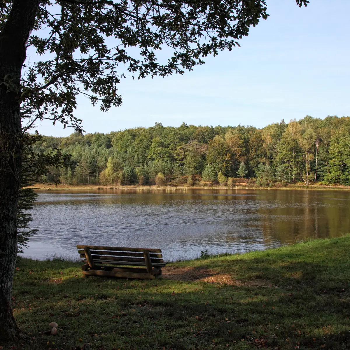 vuegenerale_Sornac_VTT52_Mirambel_auteurinconnu