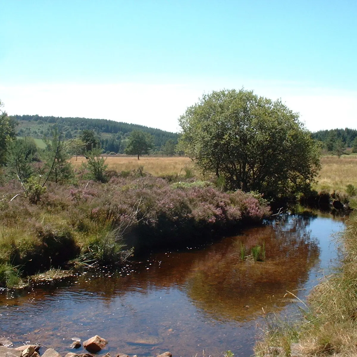 vuegenerale_VTT44_StSetiers_Tour_Plateau