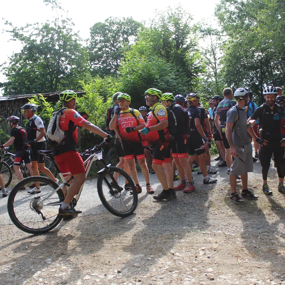 VTT