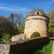 A tourcolybouclecourtedebouch