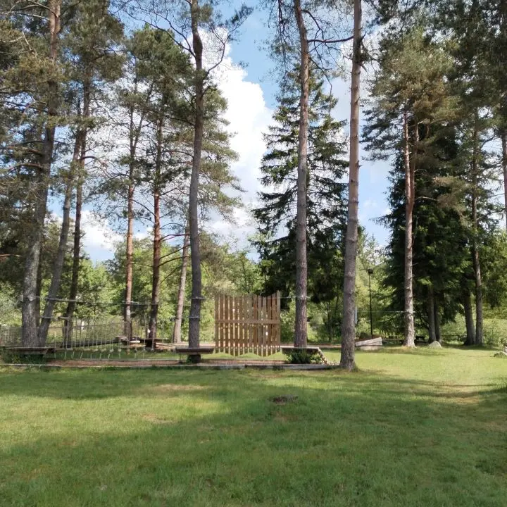 Accrobois - Bugeat © V Pigerole (2)